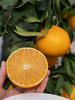 【爱媛果冻橙】 果冻口感 柑橘皇后 可以吸着吃的果冻橙 甜度13以下不采摘 5斤8斤CC 商品缩略图9