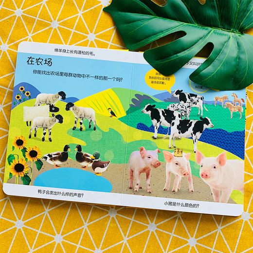 DK幼儿观察力、注意力、思维力系列《动物》汉英对照 商品图7
