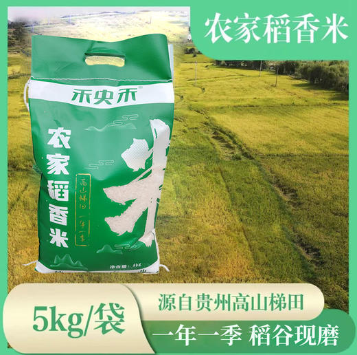 禾央禾农家稻香米5kg/袋贵州高山梯田长粒香米袋装 商品图0