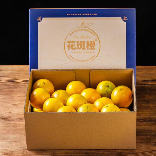 【哀牢山花斑橙】果形圆润饱满 橙香浓郁 肉厚饱满 酸甜多汁 沁香无渣 橙香怡人 4种规格任选 商品图8