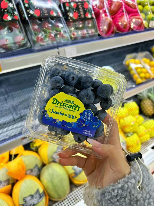 怡颗莓限量蓝莓王 商品图1