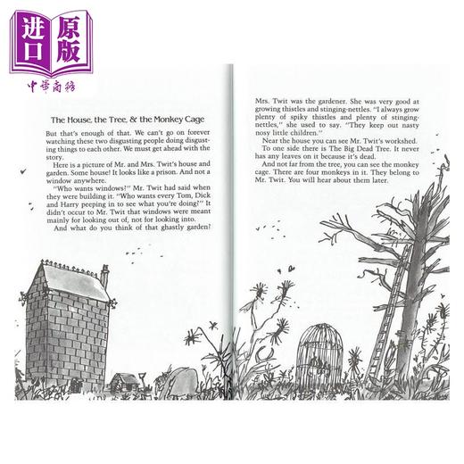 预售 【中商原版】罗尔德达尔 美版儿童文学作品10册 Roald Dahl 儿童文学故事读物 英文原版 进口插图图书 分阶读物 7-12岁 商品图3