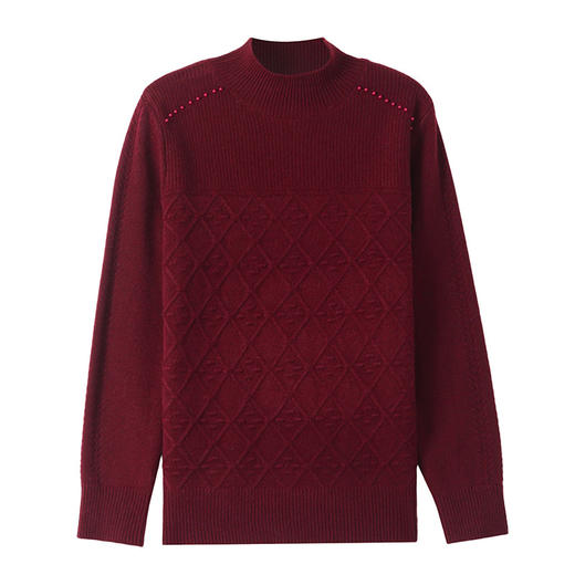 CC-89-3802秋冬季新款简约百搭设计感羊毛半高领纯色毛衣内搭叠穿上衣 商品图4