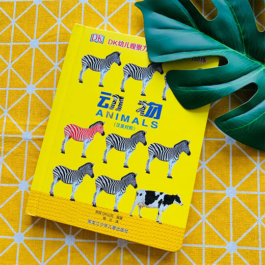 【微瑕专场】DK了不起的数学思维 商品图4