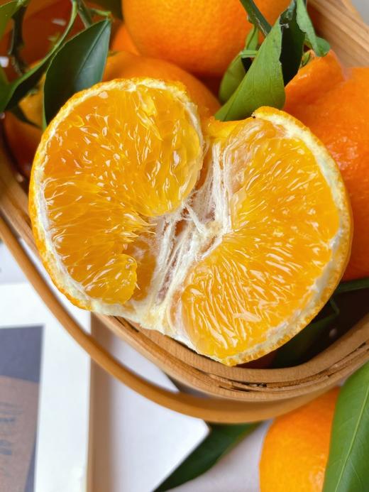 【爱媛果冻橙】 果冻口感 柑橘皇后 可以吸着吃的果冻橙 甜度13以下不采摘 5斤8斤CC 商品图12