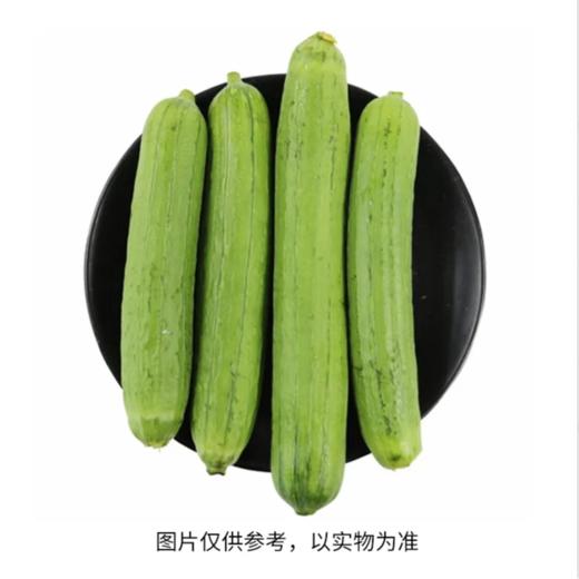 丝瓜（精包）（200±20g） 商品图0