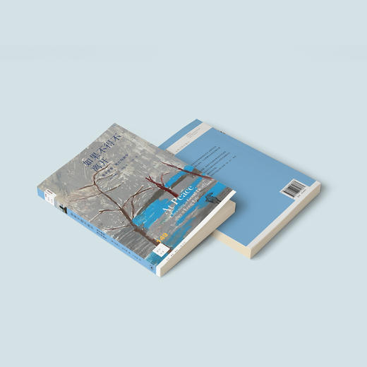 《如果不得不离开：关于衰老、死亡与安宁》 商品图12