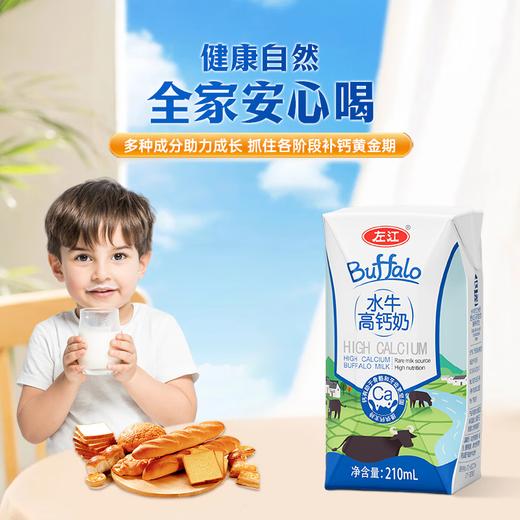 【鼎】左江水牛高钙奶210ml*10盒/箱 商品图6