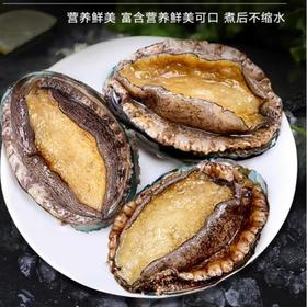 山东鲍鱼7头/个