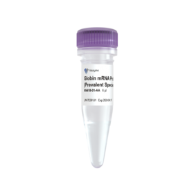 Ribo-clean Globin mRNA Depletion Kit Mega（Prevalent Species）