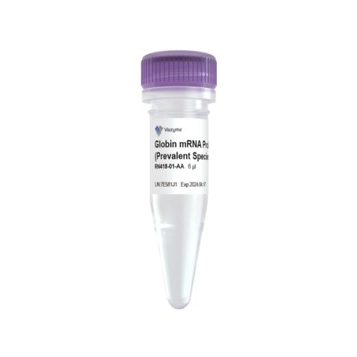 Ribo-clean Globin mRNA Depletion Kit Mega（Prevalent Species） 商品图0