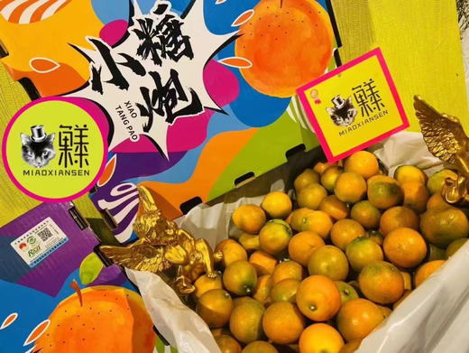 💝小糖炮【3A脆蜜金柑】2kg一箱 商品图4