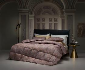 【6F】宜庭 卢浮宫90白鹅绒丝加厚冬被150/200/220