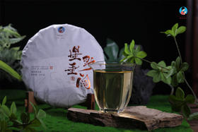  冲泡方法：2018《星垂野阔》古树春茶