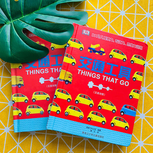 DK幼儿观察力、注意力、思维力系列《交通工具》汉英对照 商品图5