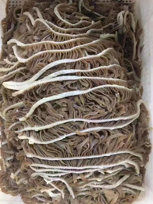 周四取货：【黑千层】一袋500克，新鲜爽脆，火锅必备！ 商品图5