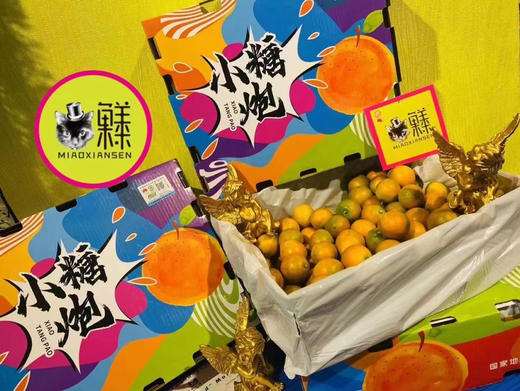 💝小糖炮【3A脆蜜金柑】2kg一箱 商品图7