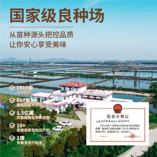 富煌三珍 有鱼妖清江小鱼丸100g*8 淡水鱼丸 配料干净 48小时发货 商品图7