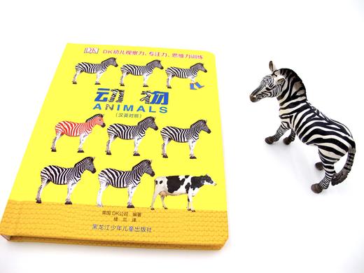 DK幼儿观察力、注意力、思维力系列《动物》汉英对照 商品图1