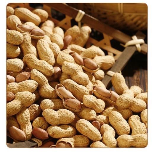 【严选】新疆葵花郎原味花生468g/袋   （厂家直发） 商品图2