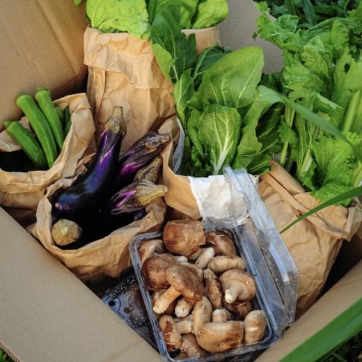 生态应季蔬菜盲盒｜Ecological  vegetable 商品图5