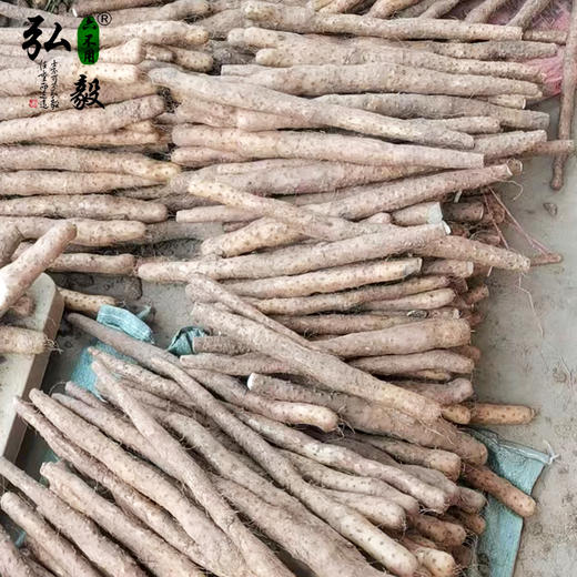 【弘毅六不用生态农场】六不用 温县铁棍山药  5斤/份 商品图1