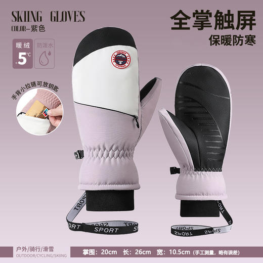 滑雪焖子手套女冬季保暖触屏防滑耐磨骑行防风防水加绒内胆手套冬 商品图2