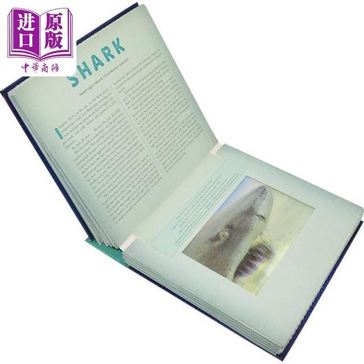 【中商原版】3D立体绘本系列3册 Ocean海洋 Jungle丛林 Dinosaur 光与影视觉书系列 会动的3D图片书 英文原版 纽约时报畅销书 商品图2