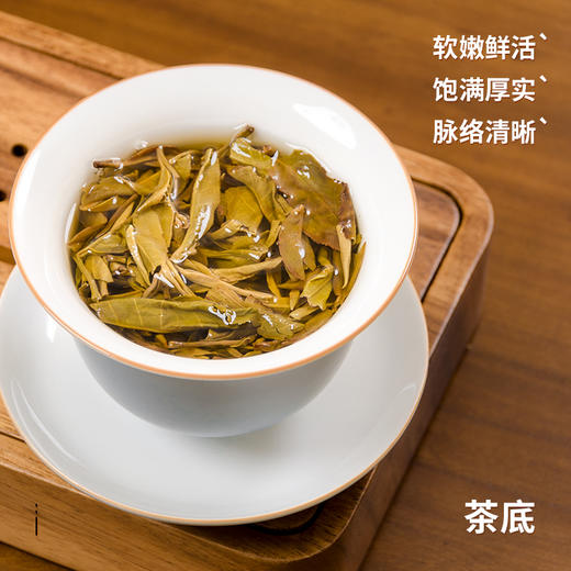 生茶云南普洱茶-2022年章朗普洱生茶200克饼 商品图3