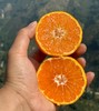 【临海涌泉蜜橘】核心产区，皮薄多汁，果肉细腻香甜 商品缩略图6