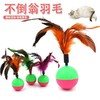 鸡毛不倒翁猫玩具 跨境猫玩具不倒翁羽毛 益智猫玩具逗猫羽毛1/个 商品缩略图3