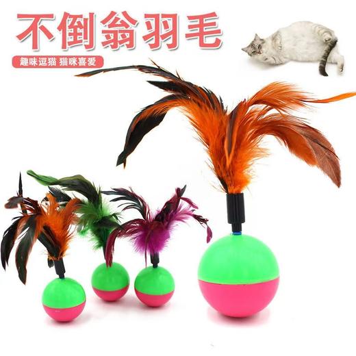 鸡毛不倒翁猫玩具 跨境猫玩具不倒翁羽毛 益智猫玩具逗猫羽毛1/个 商品图3