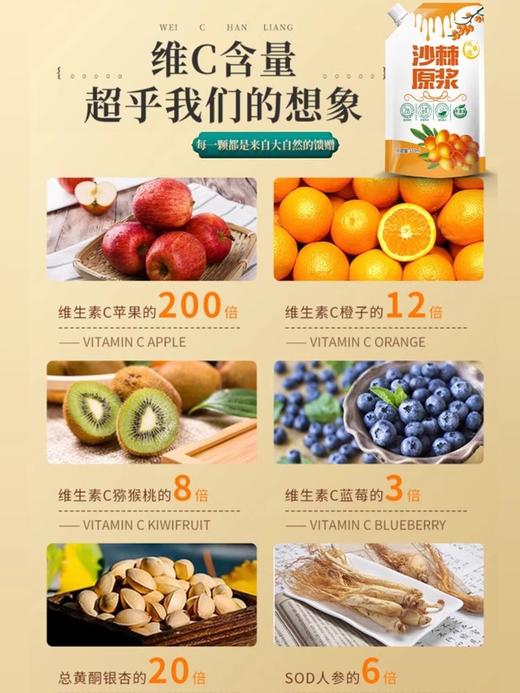 【严选】新疆域疆源沙棘原浆礼盒装 6袋/333ml   （厂家直发） 商品图3