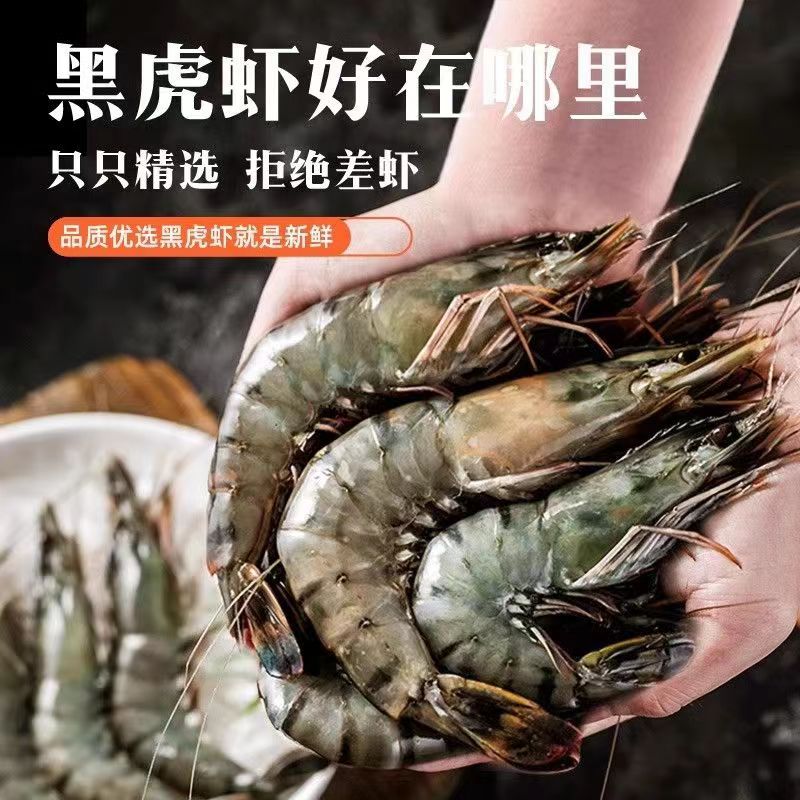 大海主义黑虎虾800g/盒