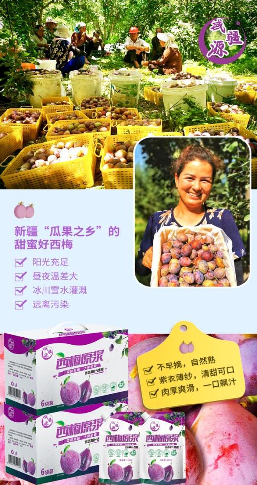 【严选】新疆域疆源西梅原浆礼盒装 6袋/333ml  （厂家直发） 商品图1