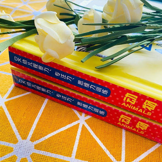 DK幼儿观察力、注意力、思维力系列《动物》汉英对照 商品图12