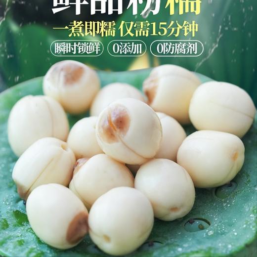 广昌鲜莲 粉糯 商品图1