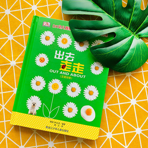 【微瑕专场】DK了不起的数学思维 商品图2