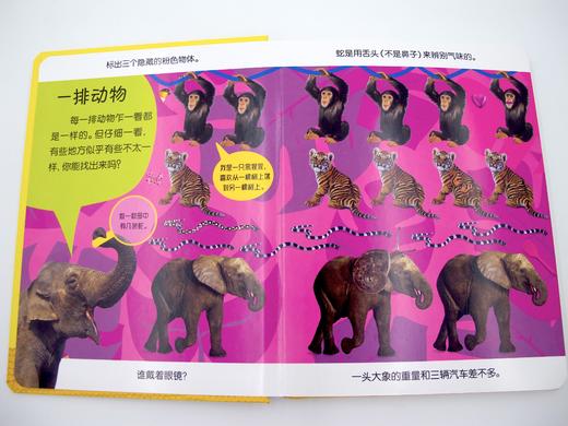 DK幼儿观察力、注意力、思维力系列《动物》汉英对照 商品图4