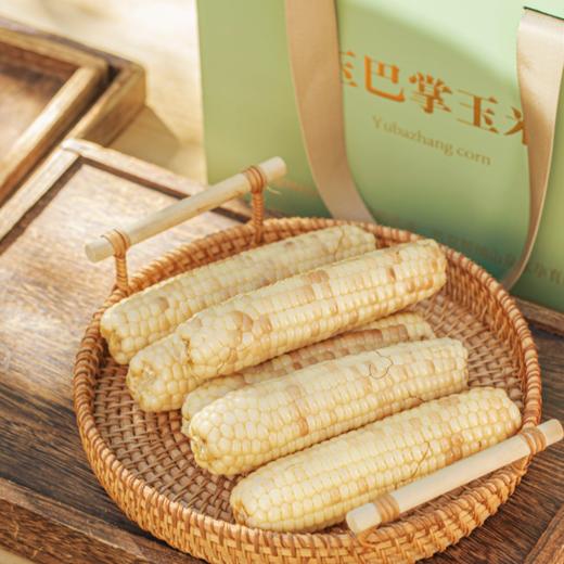 和菜头 玉巴掌 西双版纳软糯玉米 每箱2公斤 商品图0