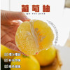 🌞【下单就送榨汁器】福建黄金葡萄柚！🔥树上熟黄金葡萄柚‼️柚子中的果冻橙❗️口感清甜，惊艳味蕾💗 还送榨汁器💥 果冻般细腻爽滑❗️特别适合直接榨汁喝🍹 商品缩略图1