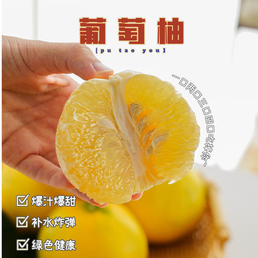 🌞【下单就送榨汁器】福建黄金葡萄柚！🔥树上熟黄金葡萄柚‼️柚子中的果冻橙❗️口感清甜，惊艳味蕾💗 还送榨汁器💥 果冻般细腻爽滑❗️特别适合直接榨汁喝🍹 商品图1
