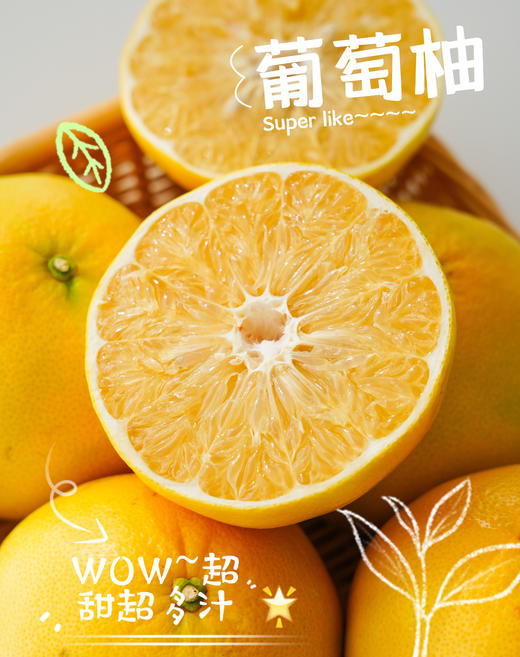 🌞【下单就送榨汁器】福建黄金葡萄柚！🔥树上熟黄金葡萄柚‼️柚子中的果冻橙❗️口感清甜，惊艳味蕾💗 还送榨汁器💥 果冻般细腻爽滑❗️特别适合直接榨汁喝🍹 商品图0