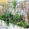 绿植造景布置 商品缩略图3