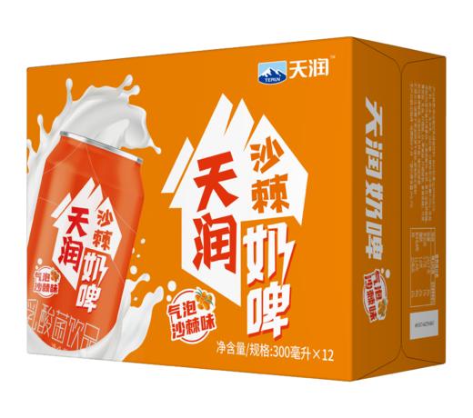 天润奶啤沙棘味乳酸菌饮品300ml 商品图0