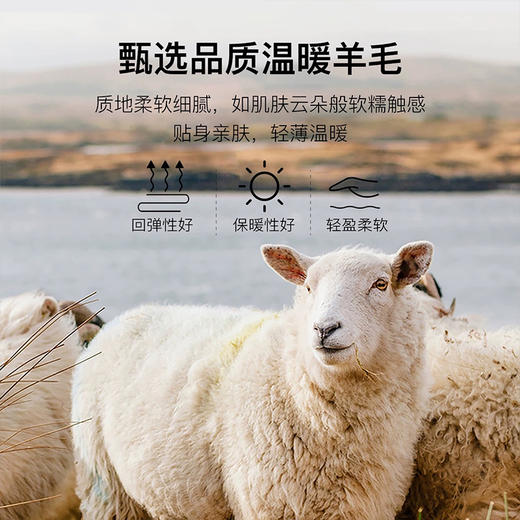 岸纾 羊毛混纺加绒保暖内搭针织衫（多色）  羊绒加厚一体绒百搭款毛衣男防寒 商品图2