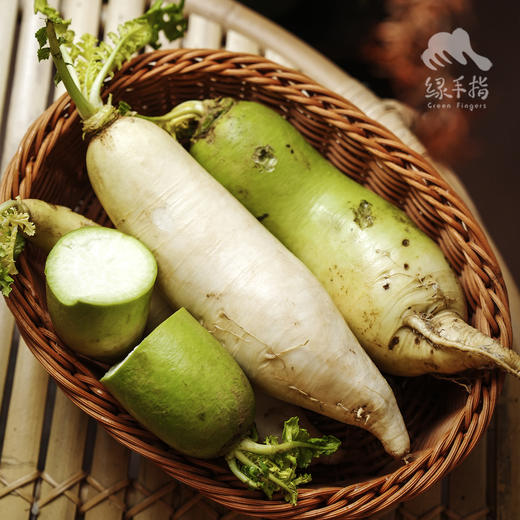 生态萝卜（中通快递） | 合作生产*Ecological radish| Partner Production 商品图0