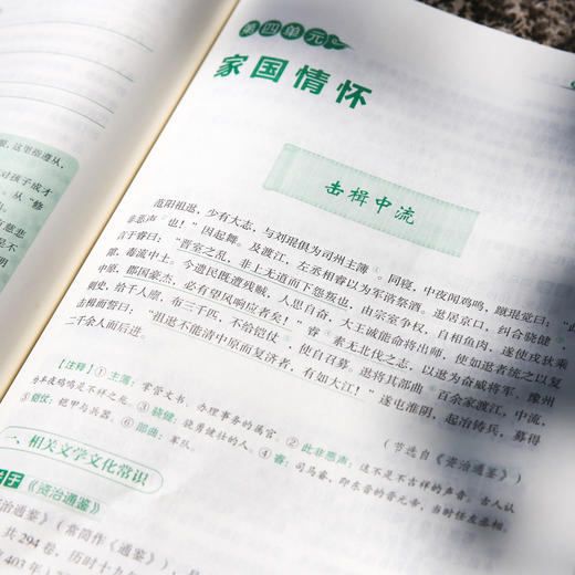 初中课外古文观止 七八九年级任选 姜广平 编著 南京大学出版社 南大励学 初中古文辅导书 ND 商品图2