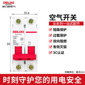 【DZ】德力西 DELIXI 微型断路器 空气开关家用空开 C型 2P 40A DZ47S