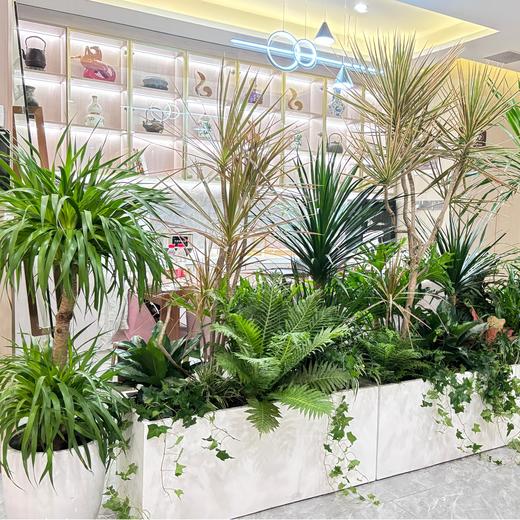 绿植造景布置 商品图1